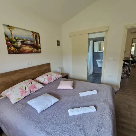 Paliska With Pool For Max 8 Pax In Porec